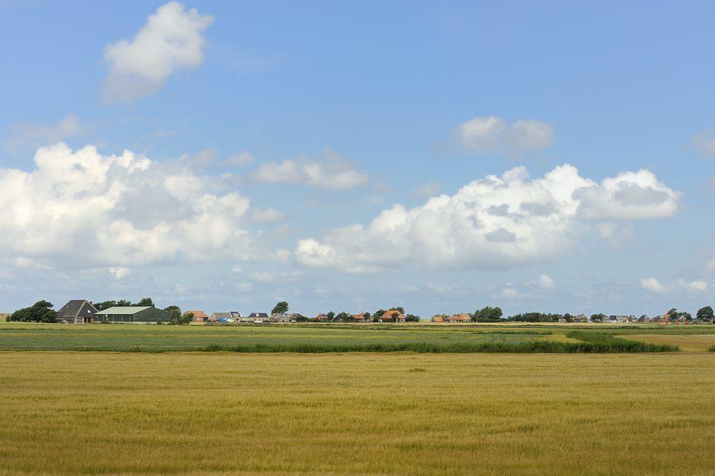 Beach-Dijkvilla Seaview Horizons Makkum Camera foto